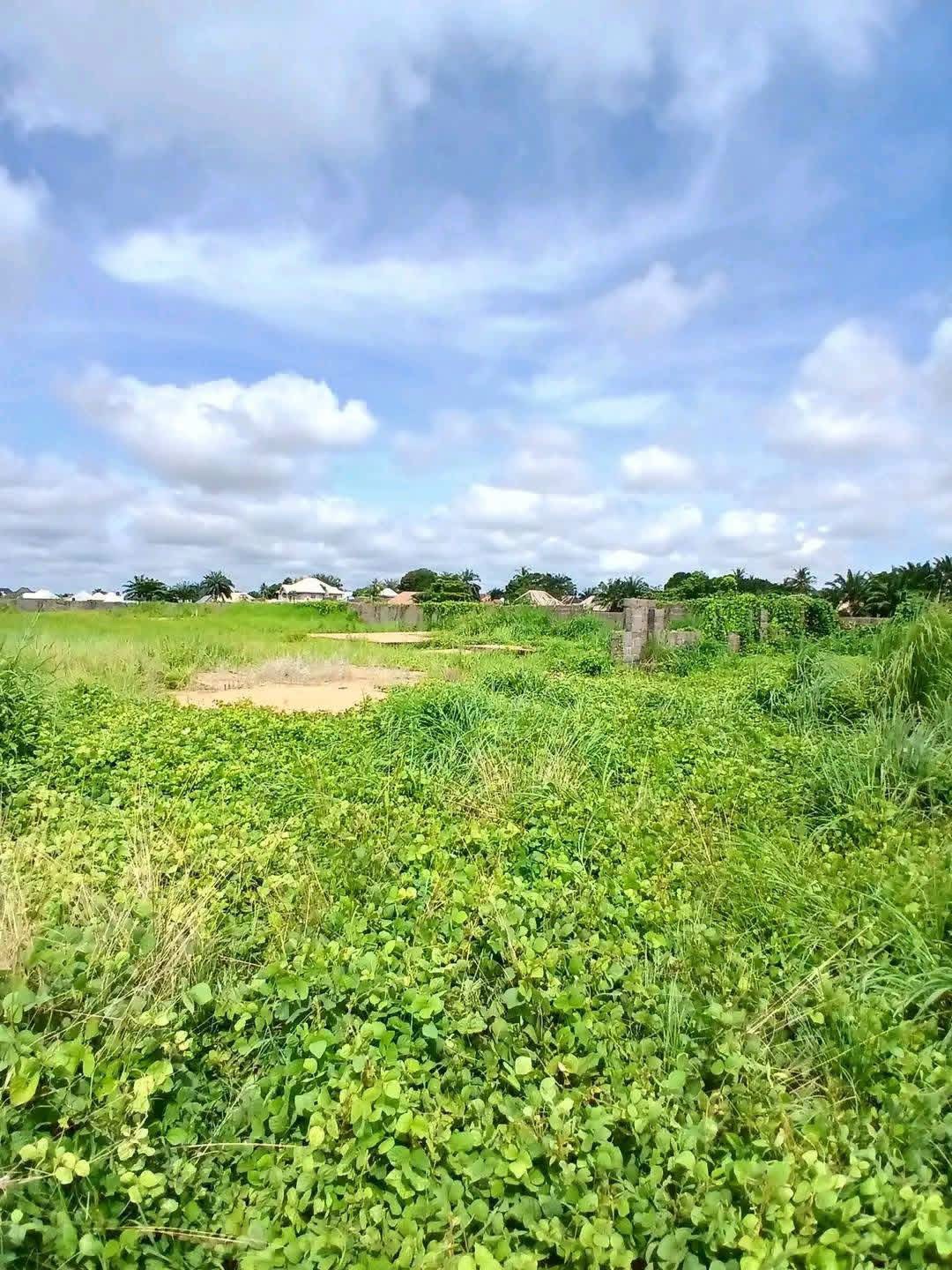 Additional view of Fenced Land for Sale in Nyima