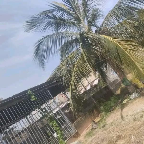 Livestock Farm for Sale in Apir for sale in Apir, Makurdi, Benue