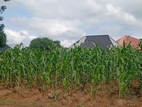 Additional view of Land for Sale Behind Deeper Life Church