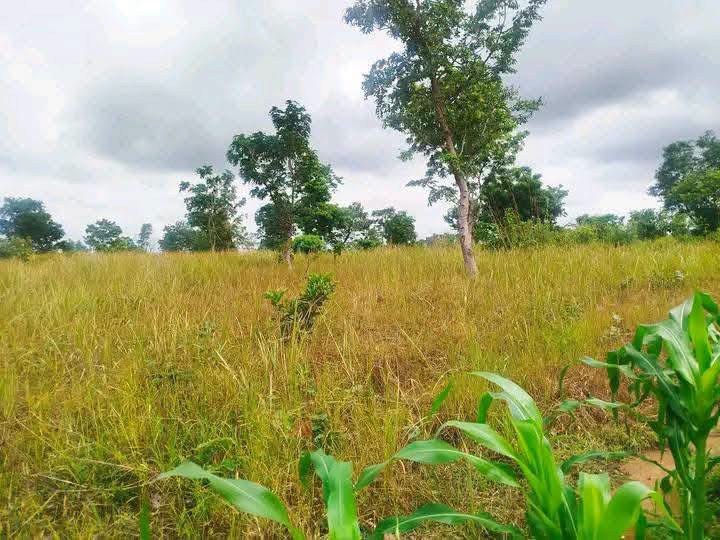 Additional view of 10 Plots of Land Behind Zeva Factory