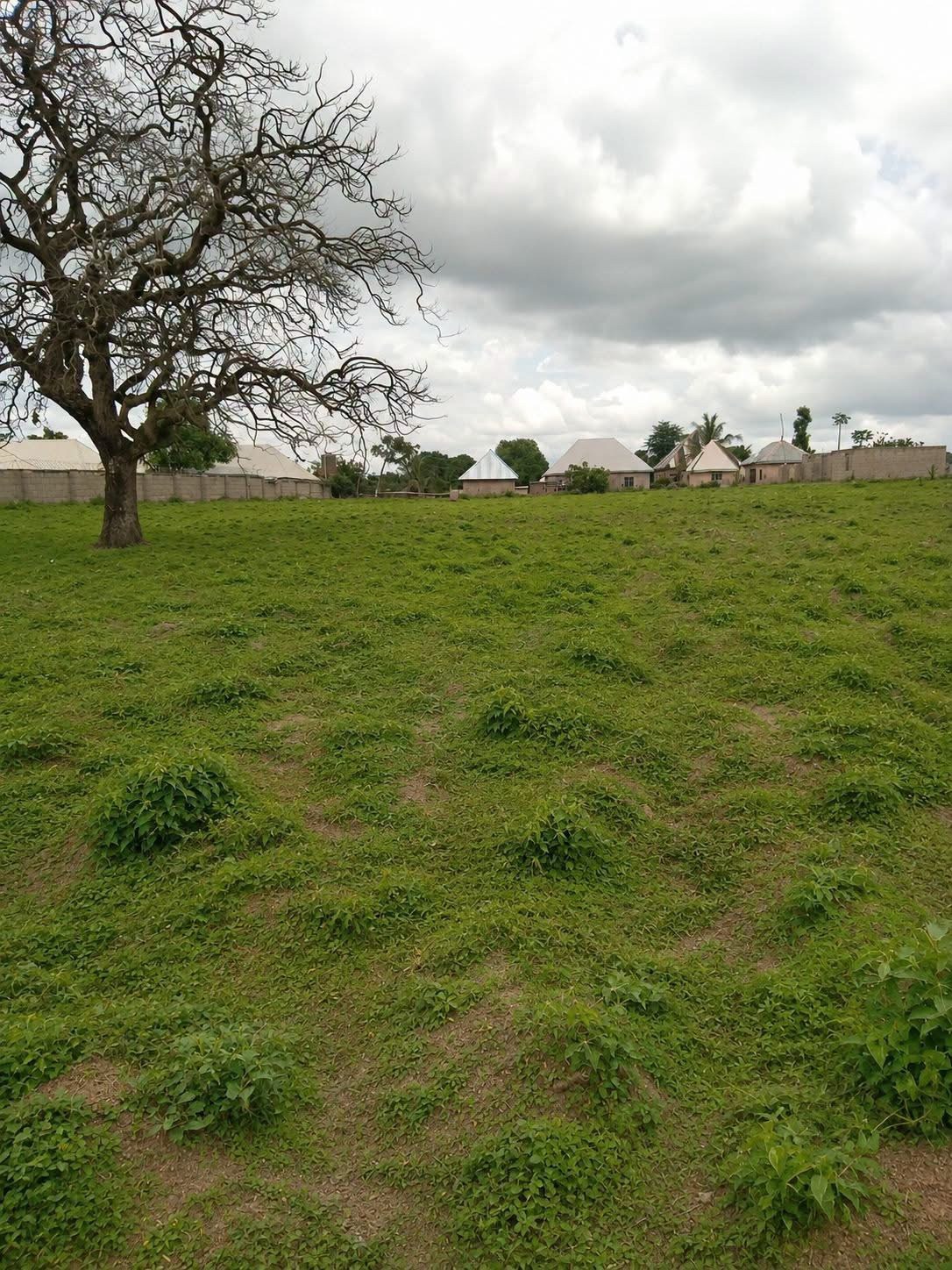 Prime Land Plot After Agbile Market for sale in After Agbile market, Gboko, Benue