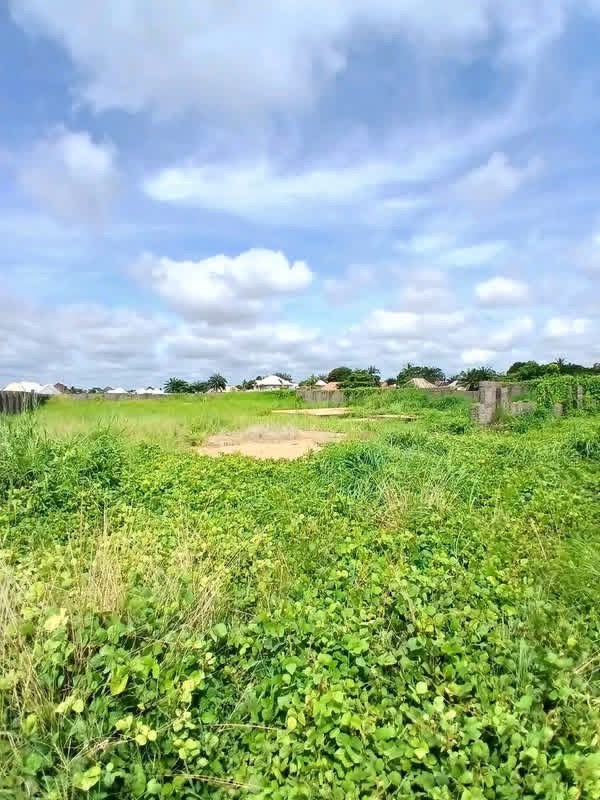 Additional view of Fenced Land for Sale in Nyima
