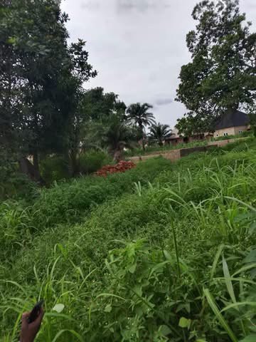 Additional view of Land for Sale in Yaikyo