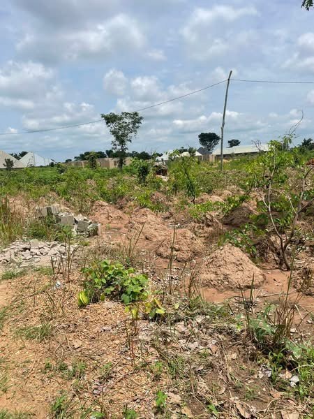 Additional view of 100 by 50 Plot of Land