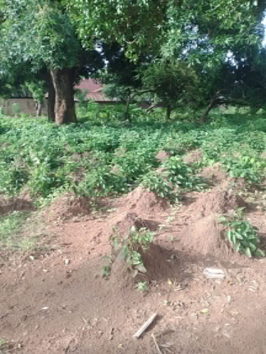 Additional view of Strategic Plot of Land for Sale