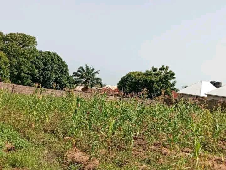 Standard Plot of Land in Ayihe for sale in Ayihe, Makurdi, Benue