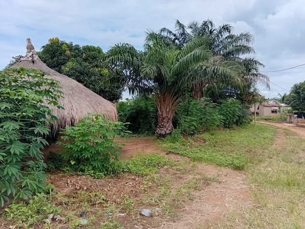 Additional view of Land for Sale in Gaadi Extension
