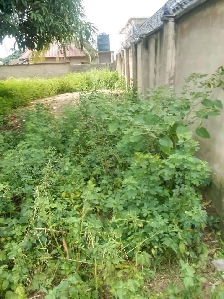 Prime Land for Sale Welfare Quarters for sale in Welfare Quarters, Makurdi, Benue
