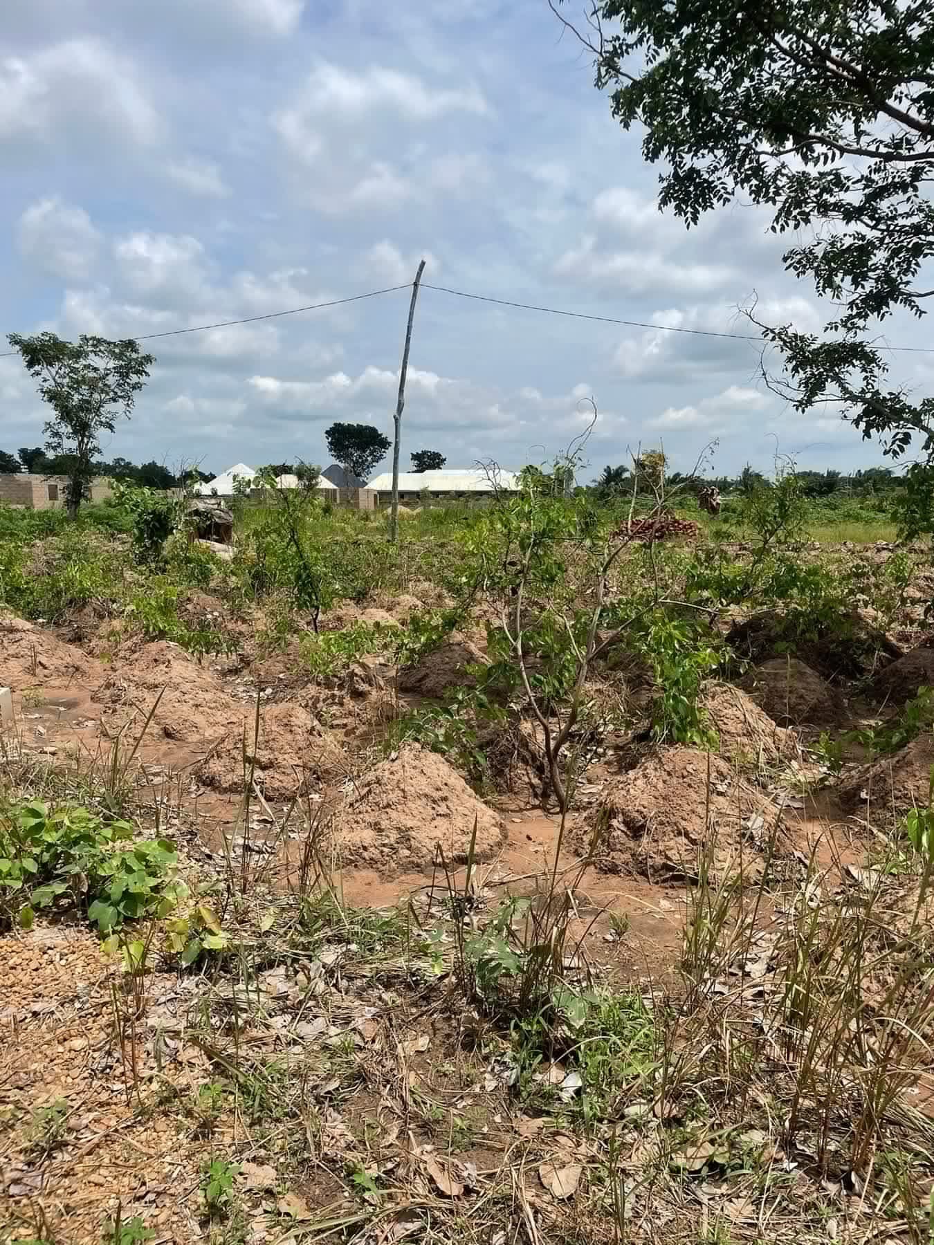 Additional view of 100 by 50 Plot of Land