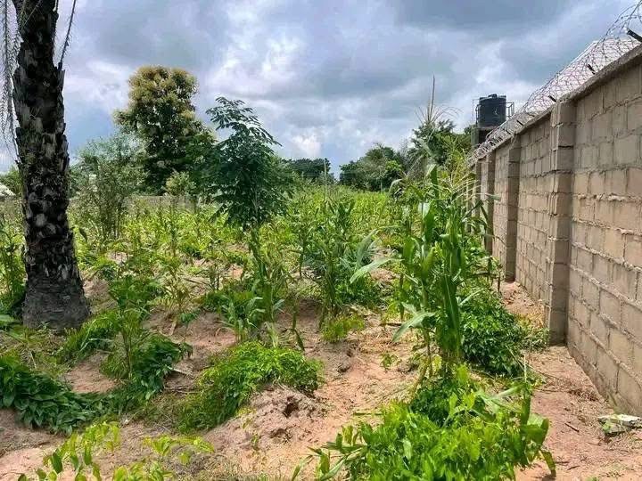 Serviced Plot in Tse-Poor, Makurdi for sale in Tse-Poor, Makurdi, Benue