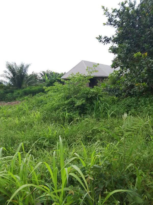 Additional view of Land for Sale in Yaikyo