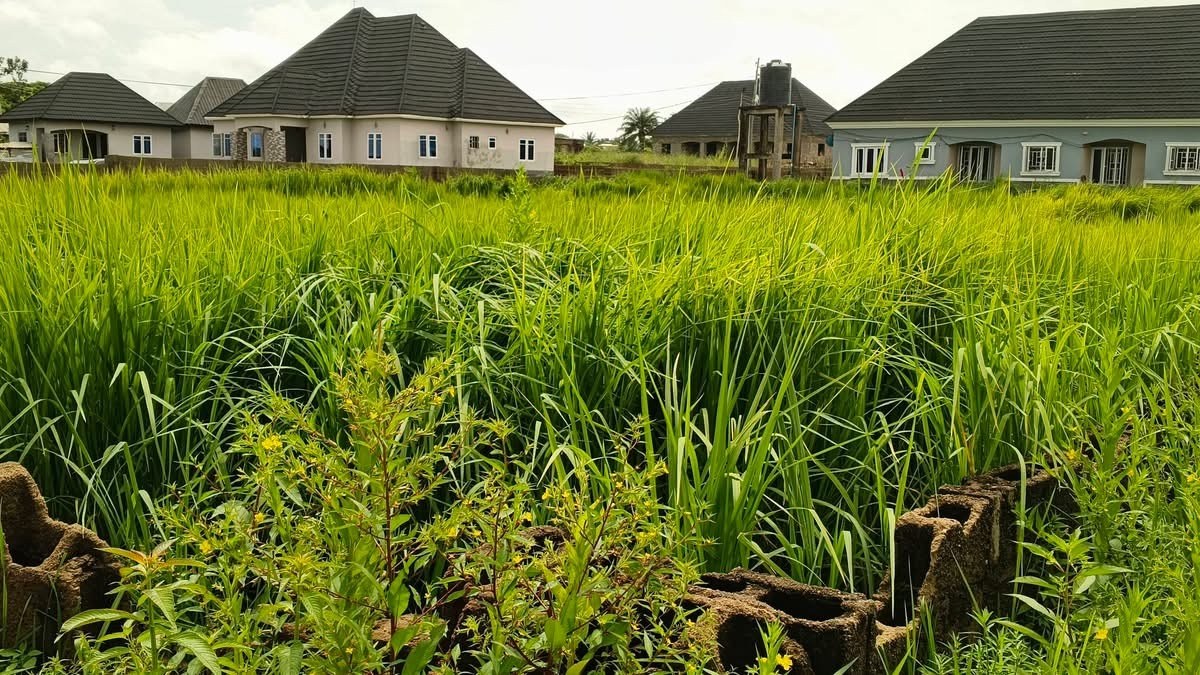 Additional view of Spacious Plot of Land in Kanshio