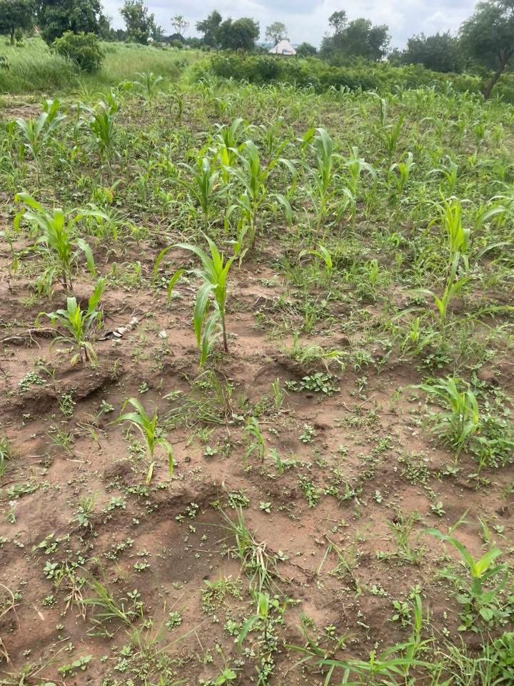 Additional view of Distress Sale Land Plot Welfare Quarters Makurdi