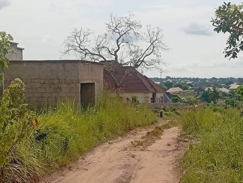 100x100 Plot of Land for Sale for sale in Nyon, Maitama, Makurdi, Benue
