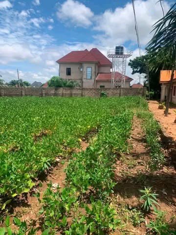 100 by 100 Plot of Land for sale in Nyon, Makurdi, Benue