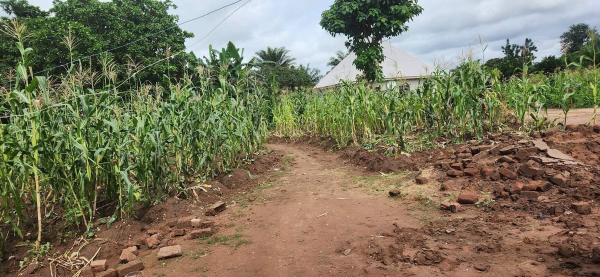 Additional view of Developed Plot with One Room Self-Contained