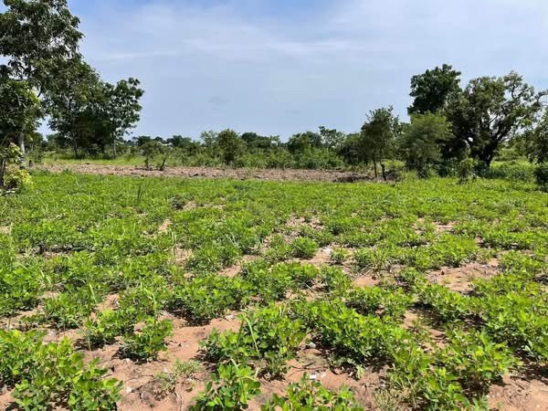 Additional view of Prime Land for Sale in Mbaikya, Makurdi