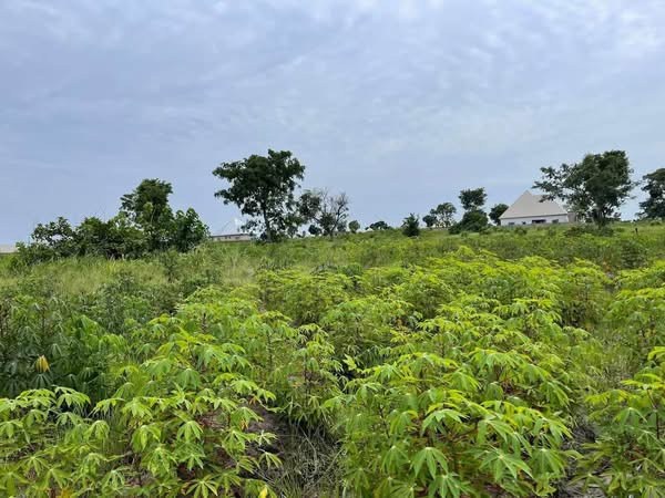 Additional view of Prime Land for Sale in Mbaikya, Makurdi