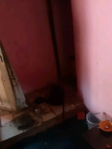 Additional view of Mini Self Contain at Welfare Quarters