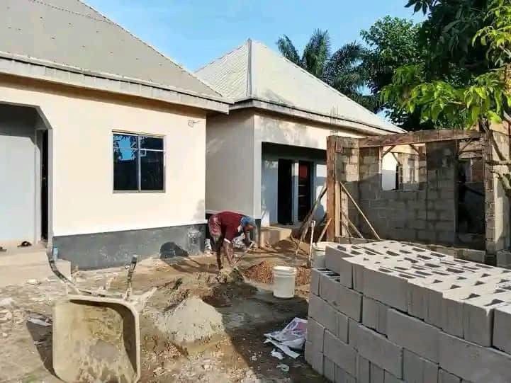 Clean One Bedroom Apartment for Rent