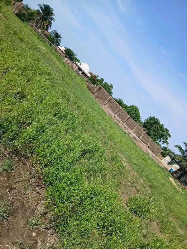 Additional view of Distress Land for Sale at Nyiman