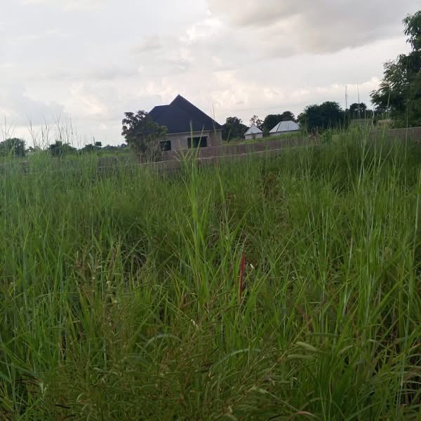 Sizeable Plot of Land in Achusa for sale in Achusa, Makurdi, Benue