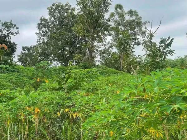 Additional view of Double Plot of Land for Sale