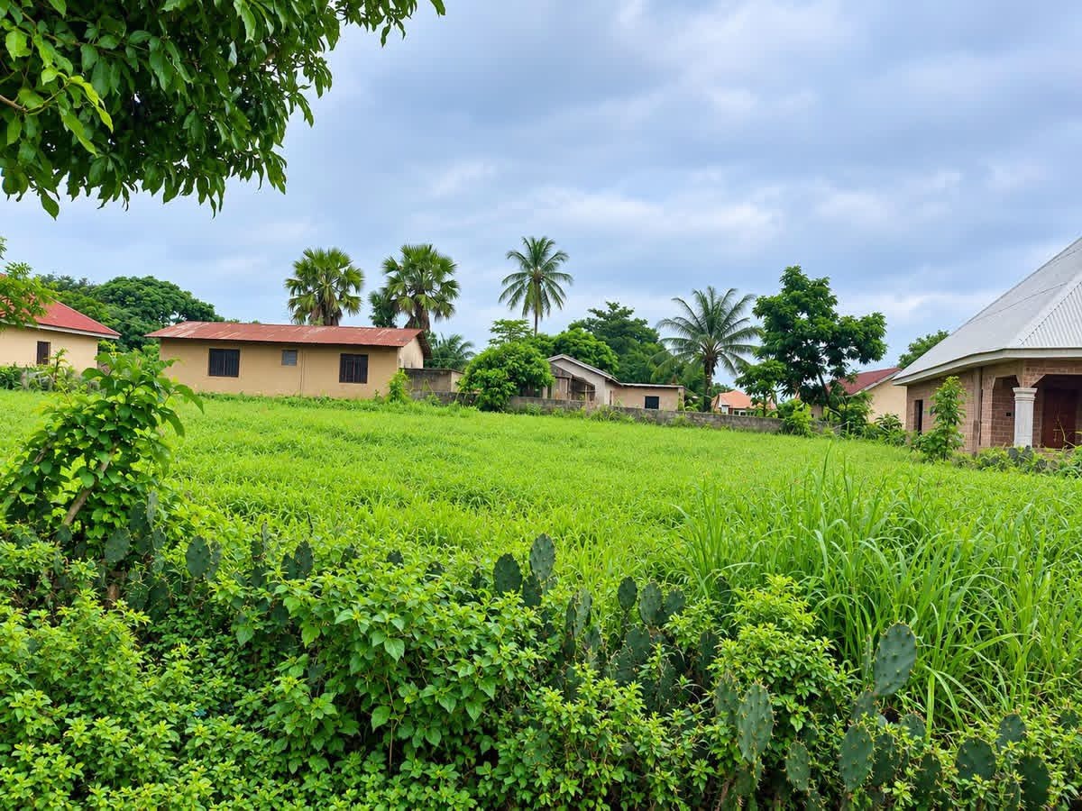 100 by 100 Land for Sale for sale in Orafaga Dem, Gboko, Benue