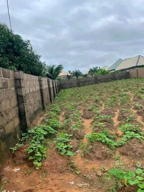 Additional view of Fenced Land in Gaadi Extension