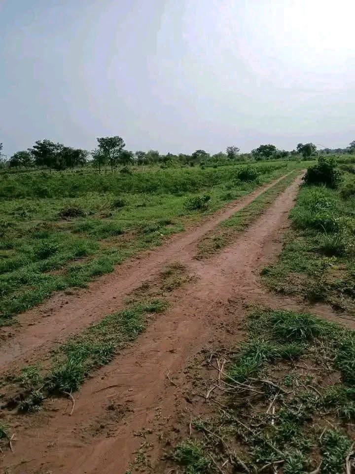 Additional view of Land for Sale in Yaikyo