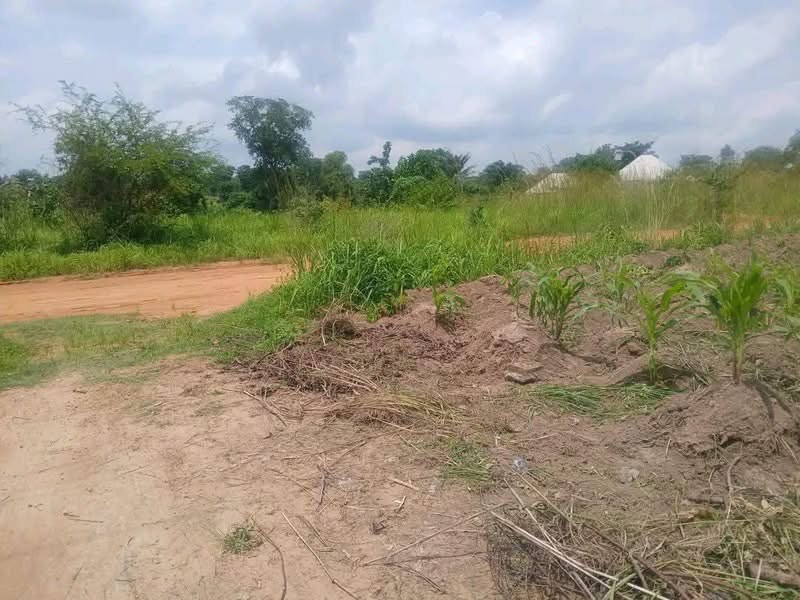 Spacious Land for Sale Mbaikya, Makurdi for sale in Mbaikya, Makurdi, Benue