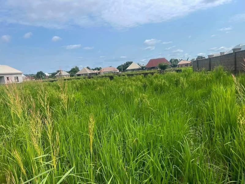 100x100 Plot of Land for Sale for sale in Nyiman, Makurdi, Benue