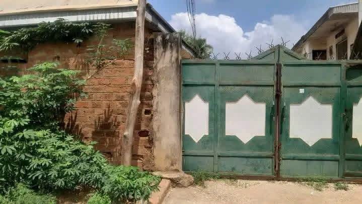 Additional view of Income Generating Flats for Sale