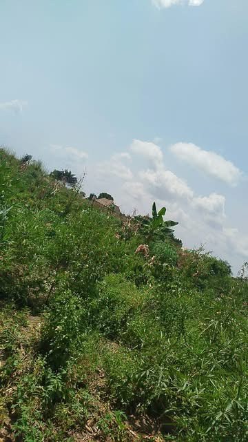 200x100 Plot of Land in Yaikyo for sale in Yaikyo, Makurdi, Benue