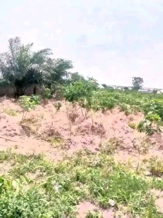 Additional view of 4 Plots Land for Sale, Nyon Makurdi