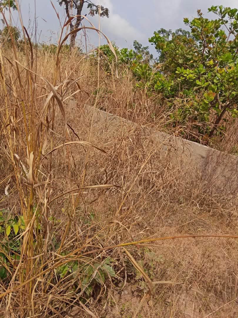 Additional view of 100/100 Plot of Land for Sale