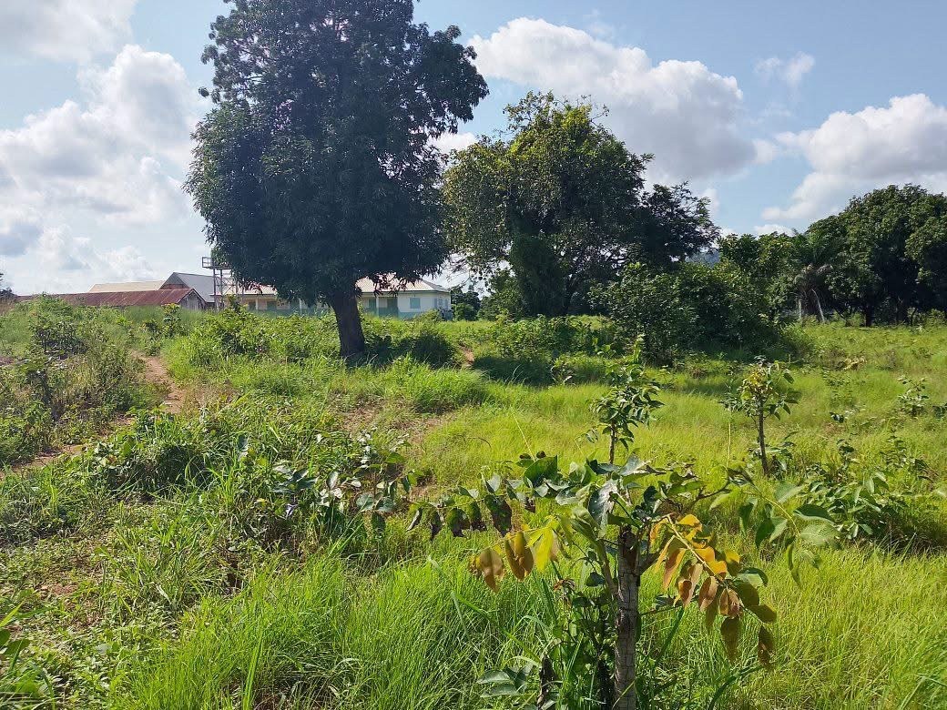Additional view of Plot of Land with Well in Mkar