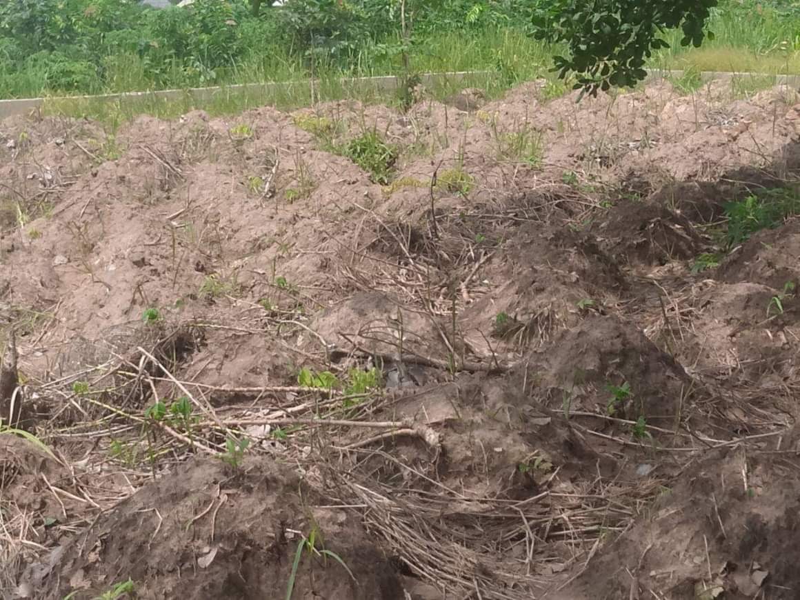 Additional view of Fenced Land for Sale in Makurdi