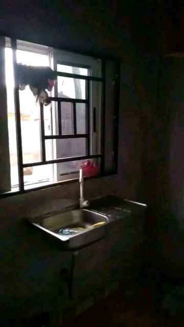 Additional view of Spacious Room and Parlor for Rent