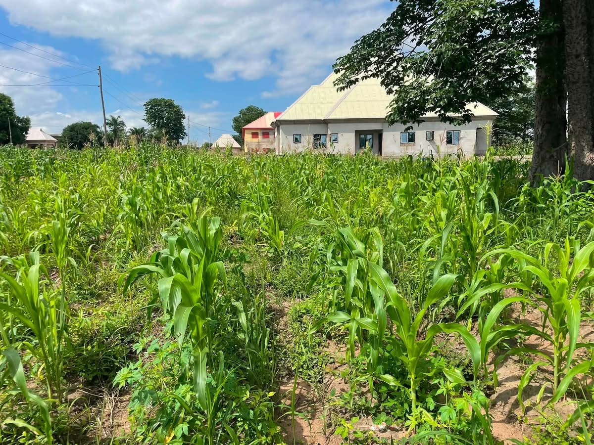 Additional view of Land for Sale at Tse Poor Makurdi