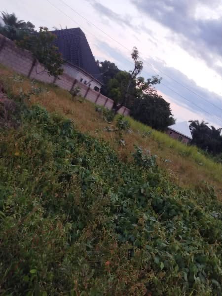 Additional view of Land Plot for Sale in Apir