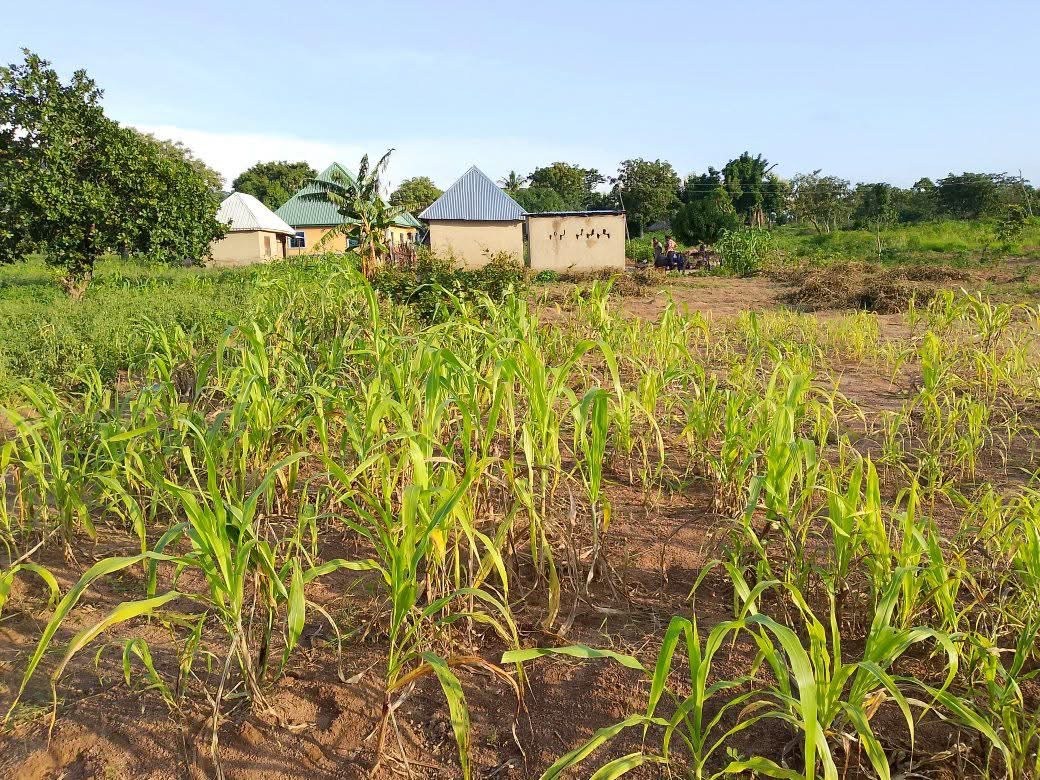 Plot of Land for Sale for sale in RTS Mkar, Gboko, Benue