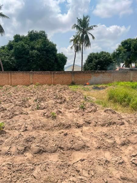 Additional view of Land for Sale in Yaiko New Road