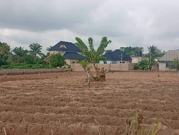 Additional view of Land for Sale in Tse Poor
