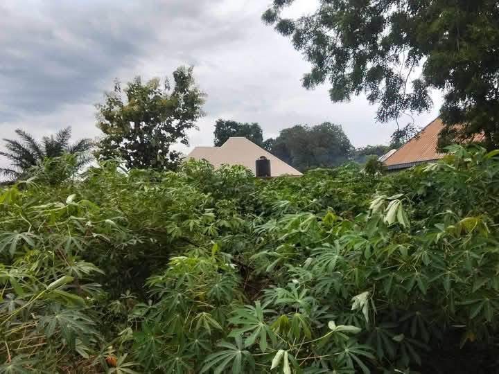 Additional view of Land for Sale on George Akume Way
