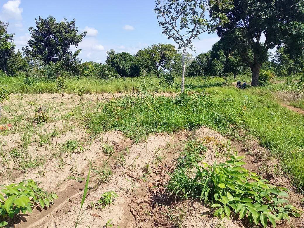 Additional view of Plot of Land with Well in Mkar