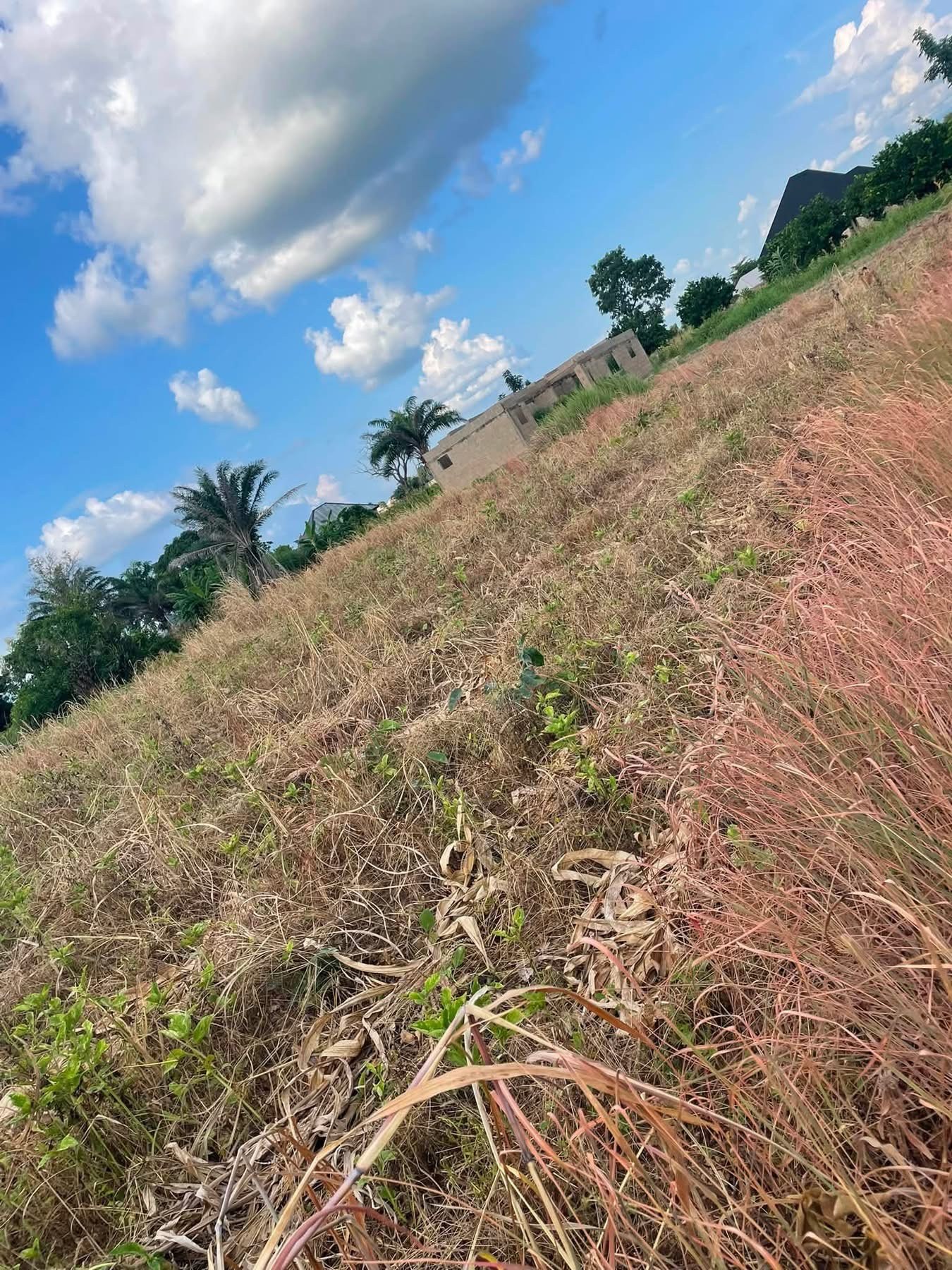 Additional view of Spacious Land Plot Facing Major Road
