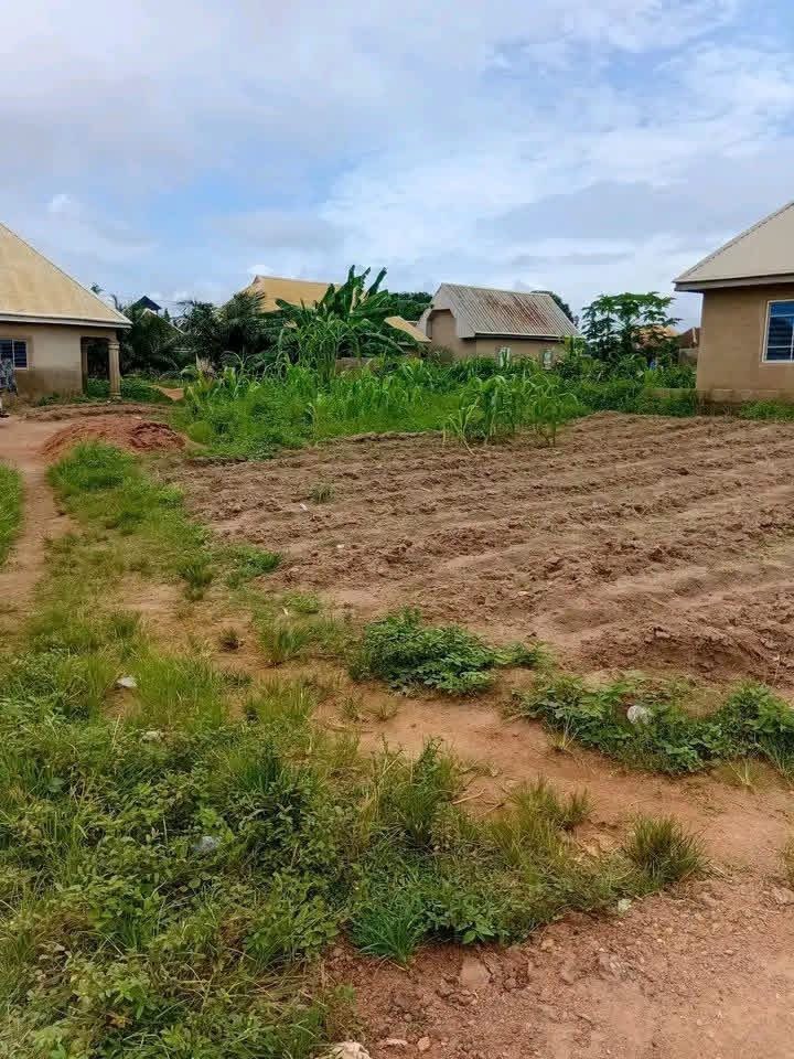 Virgin Plot for Sale for sale in After NKST Buter, Gboko, Benue