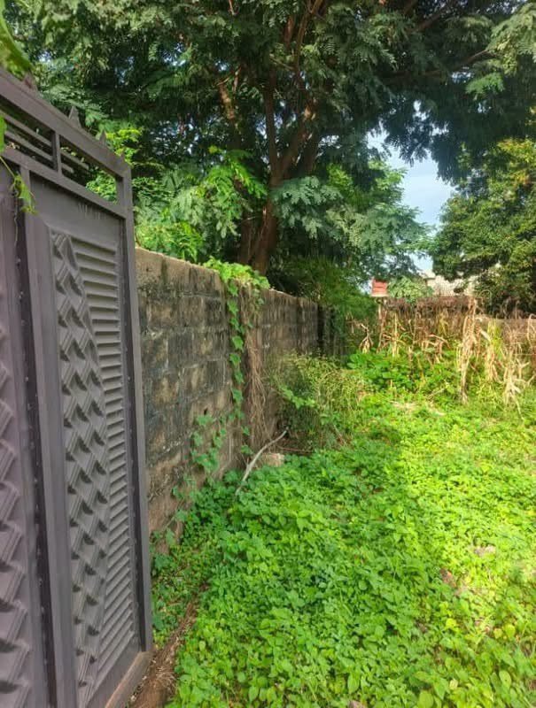 Additional view of Land for Sale at High Level