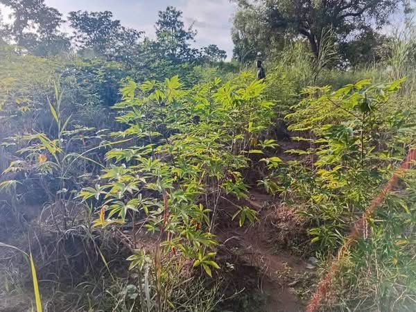 Additional view of 50x50 Plot of Land for Sale